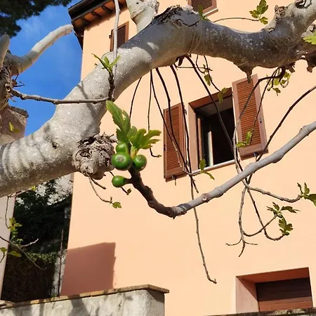 La Rocca Di Gagliole